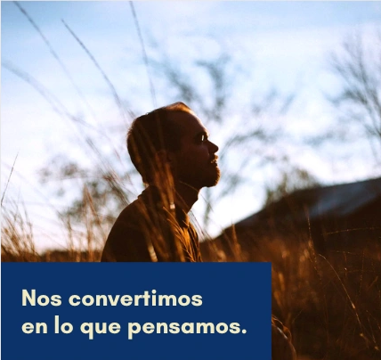 Imagen decorativa
